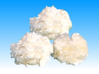 ��Ч������ά��ĳ������ۼ�Ǯ