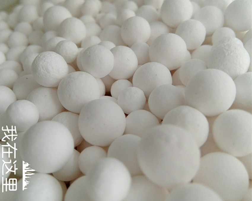 �������������ҽ�������������α