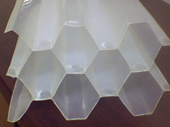 ���˳���б��������һ�ֺã�